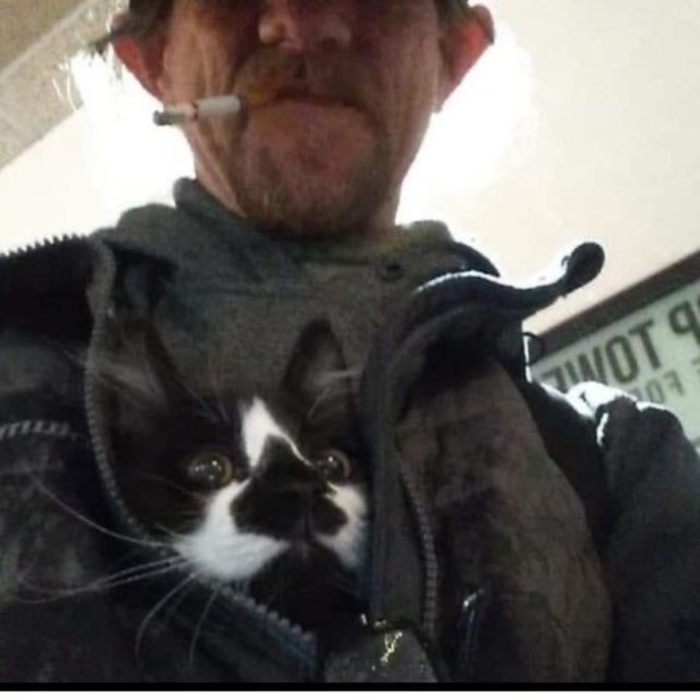 Meet your Posher, Todd